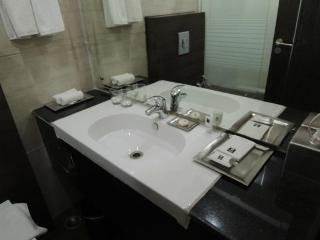 Comfort Inn Anneha New Delhi Luaran gambar